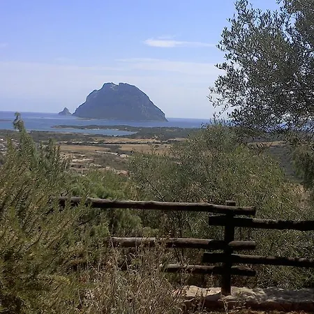 La Rosa Dei Venti Porto San Paolo (Sardinia)
