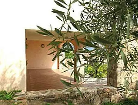 Apartment La Rosa Dei Venti Porto San Paolo (Sardinia)